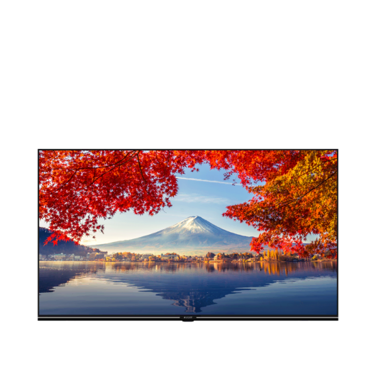 A40K 692G HOTEL TV LED & LCD TV