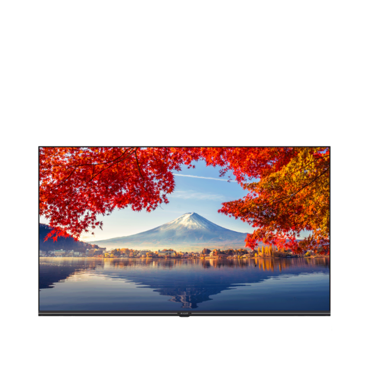 A43K 692G HOTEL TV LED & LCD TV