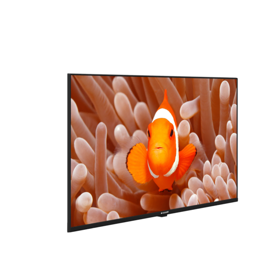 A40K 586 HOTEL TV Hotel Tv
