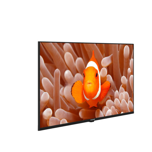 A43K 586 HOTEL TV Hotel Tv