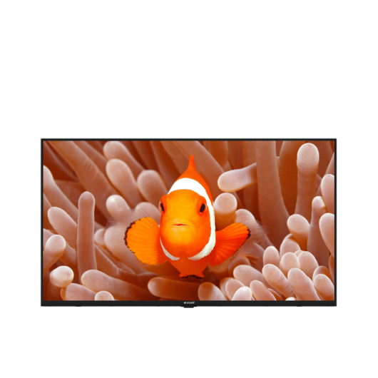 A40K 694G HOTEL TV Hotel Tv
