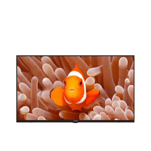 A43K 694G HOTEL TV Hotel Tv