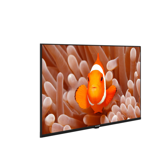 A43K 694G HOTEL TV Hotel Tv