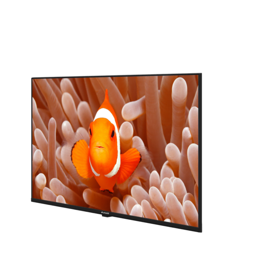 A43K 694G HOTEL TV Hotel Tv