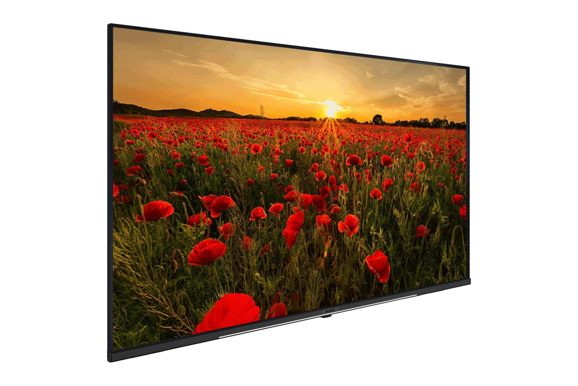 A43K 690 HOTEL TV LED & LCD TV