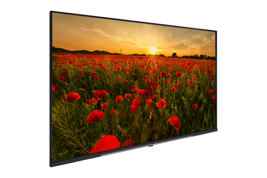 A43K 690 HOTEL TV LED & LCD TV